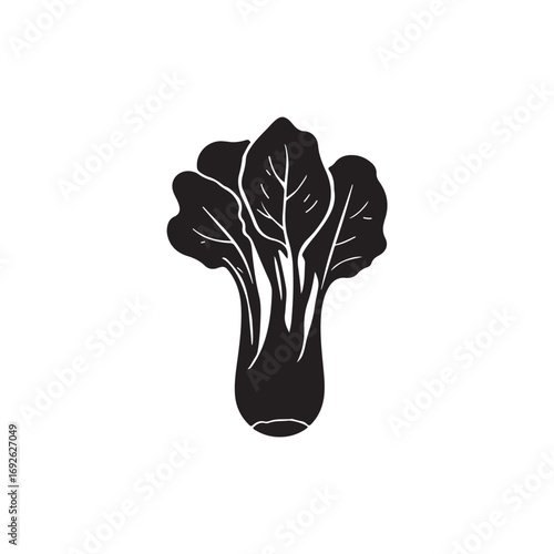 Bok Choy Vector (4).eps