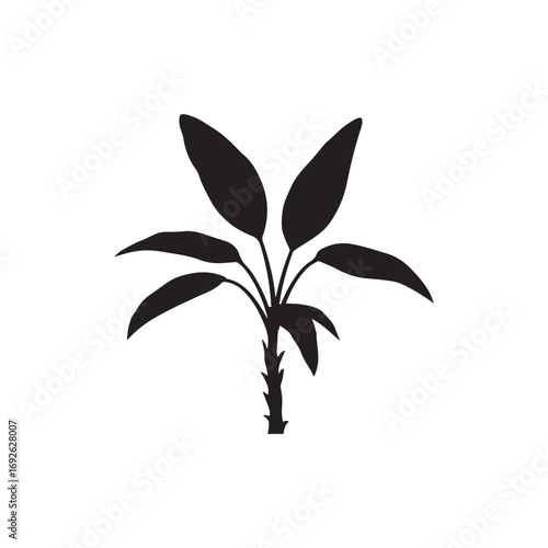 Cassava Vector (3).eps