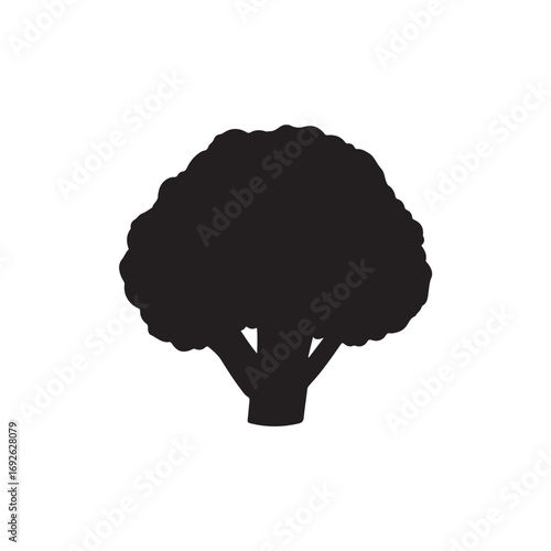 Cauliflower Vector  (1).eps