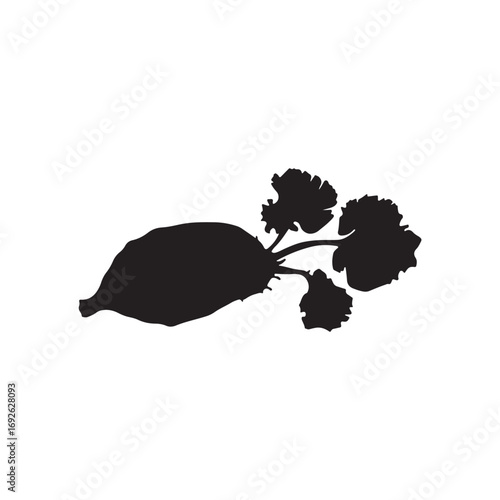 Cassava Vector (4).eps