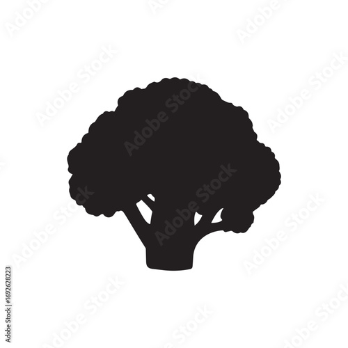 Cauliflower Vector  (3).eps