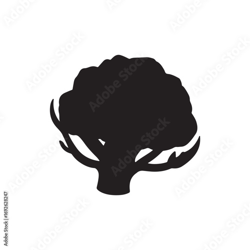 Cauliflower Vector  (4).eps
