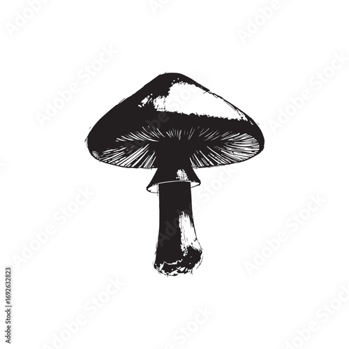 Mushroom Vector (2).eps