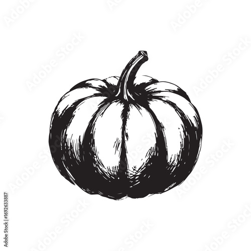 Pumpkin Vector (3).eps