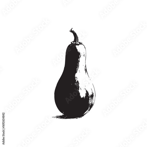 Squash Vector (1).eps