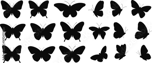 Butterfly silhouettes, black insect shapes, flying wings, nature icons, entomology reference, vector design, graphic art, isolated, collection, diversity