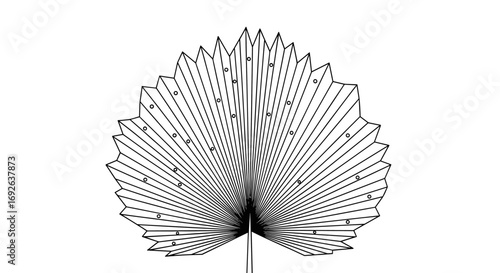 Detailed illustration of a palmate leaf showing radial veination and segmented outline with small dots indicating texture or surface detail