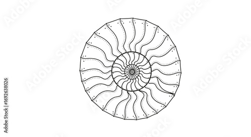 Examining the intricate spiral patterns found within ancient nautilus shell fossils revealing evolutionary insights