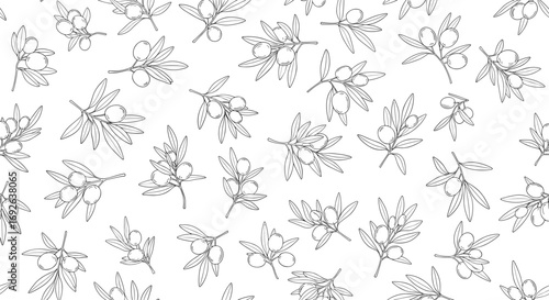 Elegant hand drawn olive branch pattern delicate botanical illustration repeating design for textiles and wallpaper