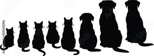 A collection of diverse animal silhouettes, from small cats to large dogs, lined up against a white background.