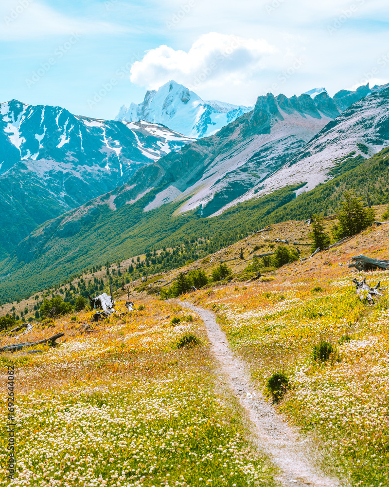 Naklejka premium the trail