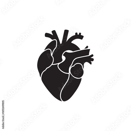 Anatomical Human Heart Silhouette