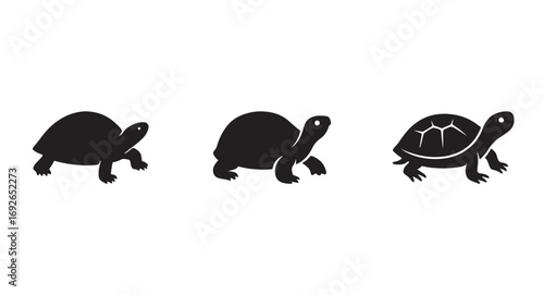 Turtle and Tortoise Silhouettes Set
