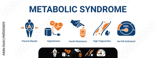 Symptoms of Metabolic Syndrome banner web icon vector illustration concept with an icon of Hypertension, Insulin Resistance, High Triglycerides, Low HDL-Cholesterol, Visceral Obesity