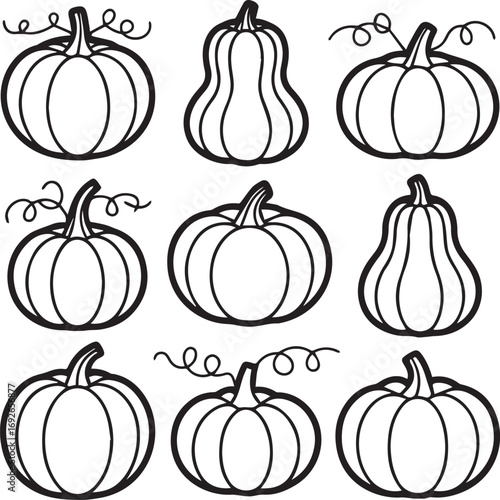 Collection of hand drawn outline pumpkins and gourds for autumn harvest