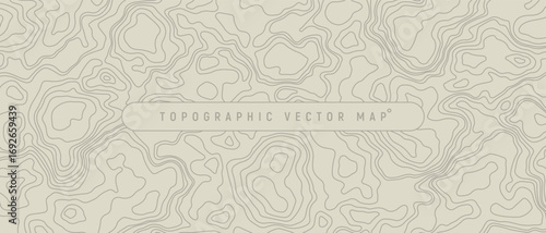 Minimal Topographic Map Lines Vector Background Illustration.