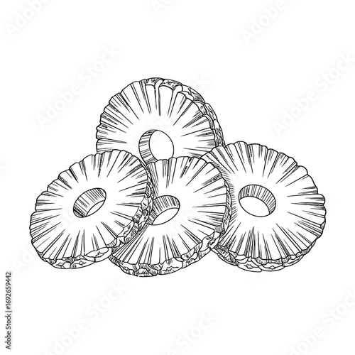 Hand drawn sketch of dried pineapple rings stacked together