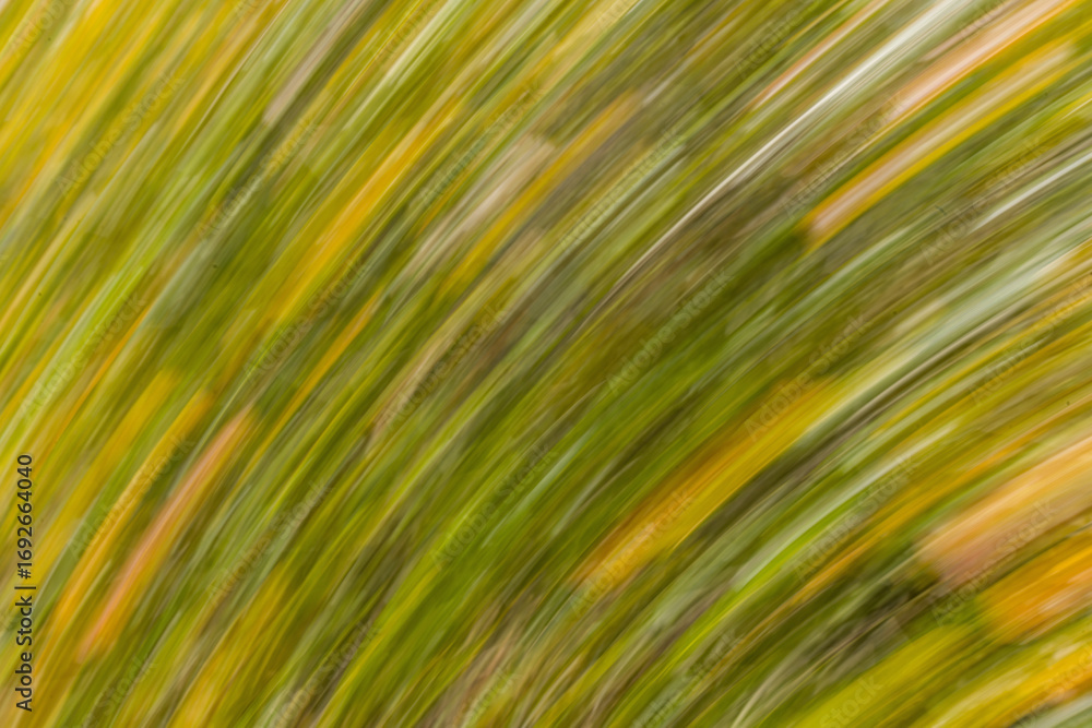 Fototapeta premium abstract long exposure