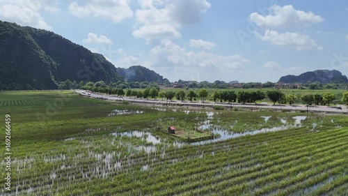 Emerald rice paddies and karst cliffs under bright summer sky in Ninh Binh