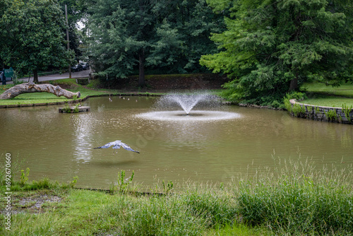 atlanta, georgia