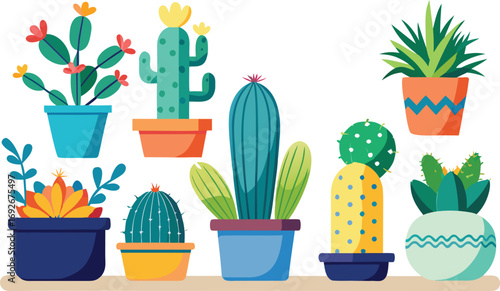 Collection of various potted cacti and succulents in colorful decorative planters on a white background