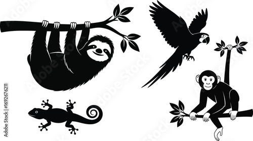 Vector illustration of rainforest animals silhouette design