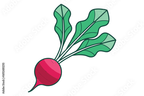 Cartoon Radish With Green Leaves On White Background root vegetable