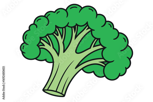 Cartoon Broccoli Florets With Thick Stem On White Background vegetable food