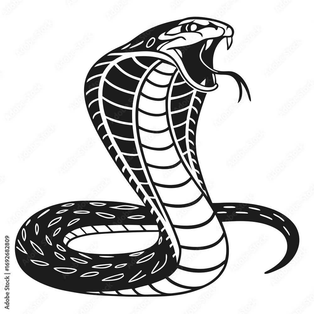 Fototapeta premium vector illustration of a snake