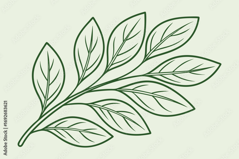Fototapeta premium Dark green outline of a branch with multiple leaves on a light green background plant nature