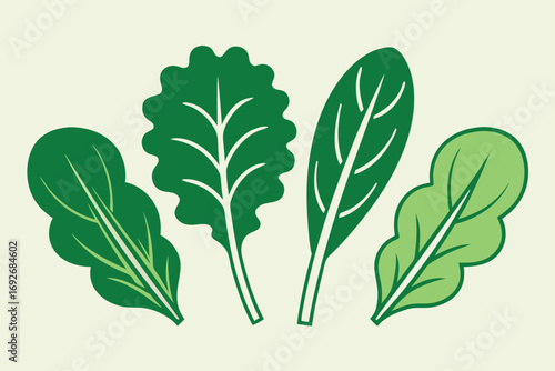 Four Different Green Leafy Vegetables on a Light Background leaves salad