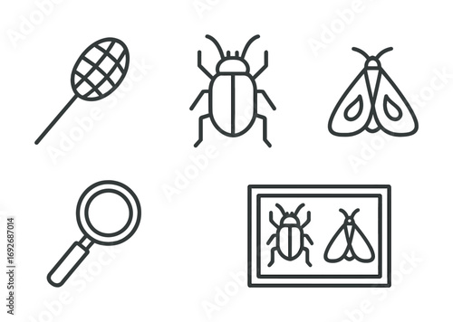 Insect collection tools and specimens: bugs, moth, magnifying glass, net, display