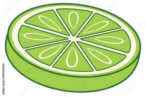 Green Lime Slice With White Segments And Outline citrus fruit