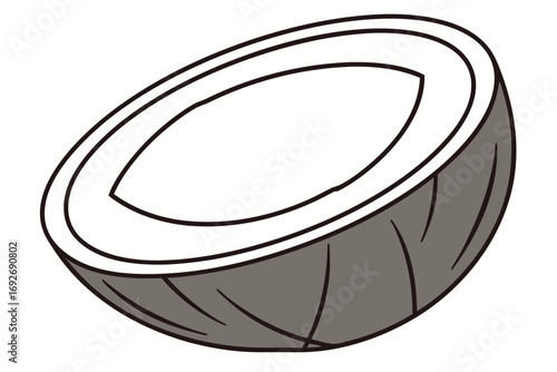 Half coconut with white flesh and brown shell on white background fruit