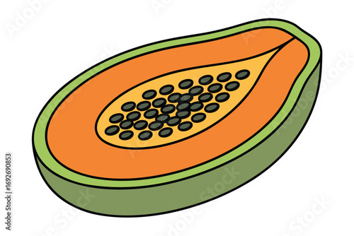 Half Papaya Fruit Slice with Seeds and Green Rind Vector Illustration tropical
