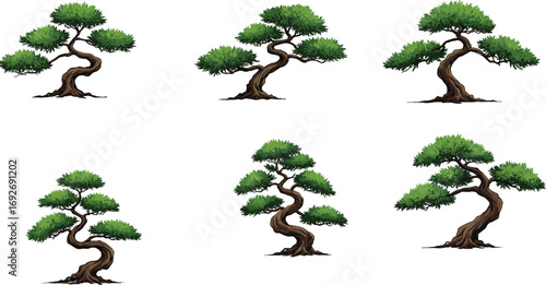 Bonsai tree vector set, stylized foliage and trunk shapes, botanical clipart bundle, nature illustration asset, garden design, Japanese tree art
