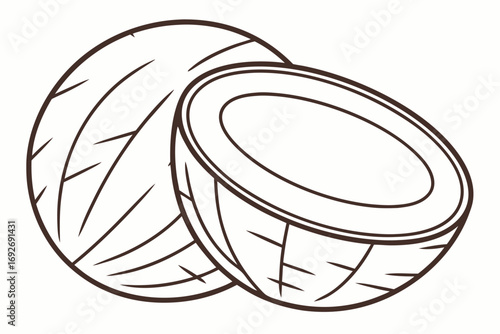 Line Art Coconut Whole and Halved on White Background halved coconut fruit