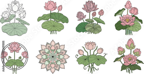 Lotus flower vector set, stylized and realistic versions, botanical clipart bundle, pink bloom illustration asset, nature design, cultural floral artwork