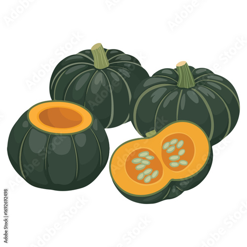 Fresh sweet pumpkin and sliced pieces vegetables vector illustration on white