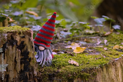 Weihnachtswichtel - Wichtel