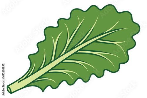 Single wavy green leaf with central stem and radiating veins illustration Keywords: leaf, green, plant