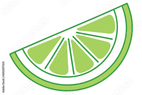 Slice of Green Lime with Segments and Outline on White Background fruit citrus