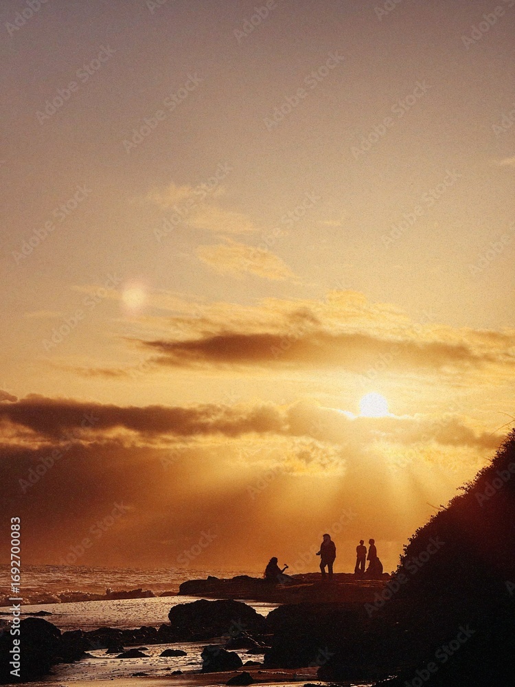 Fototapeta premium Sunny 