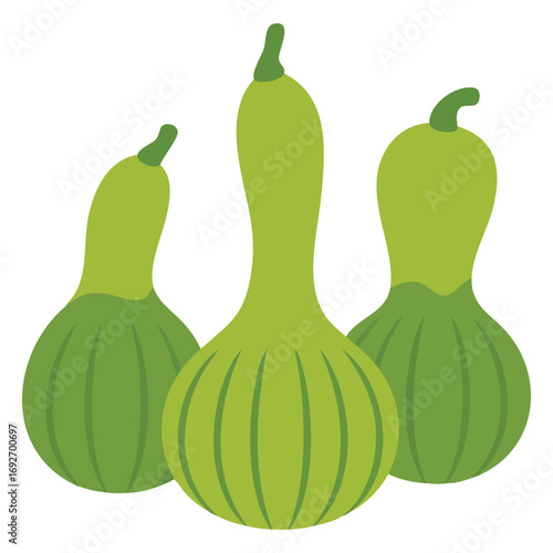 Bottle gourd flat design isolated vector illustration on white background