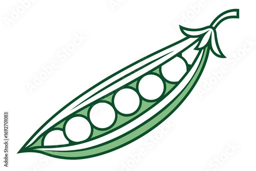 Stylized illustration of an open pea pod with green peas vegetable