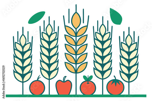 Stylized Wheat Stalks Apples and Tomatoes on White Background grain harvest