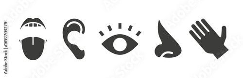 five human senses icons, smell hearing touch taste sight icon set, nose, eye, simple symbols, hand, ear, mouth flat vector illustration, outline editable stroke images