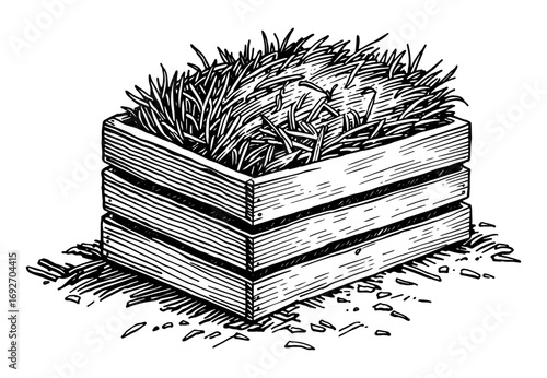 Wooden crate of grass in a rustic black and white line drawing style