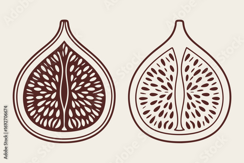 Two stylized fig halves with detailed seeds and outlines fruit food