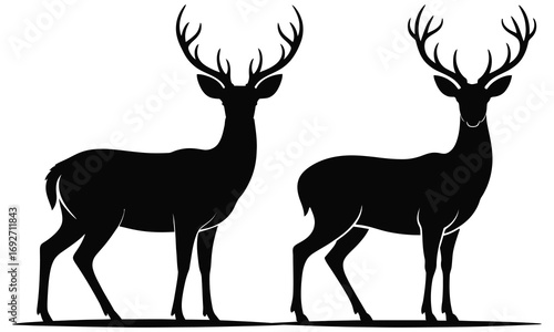 silhouette of deer